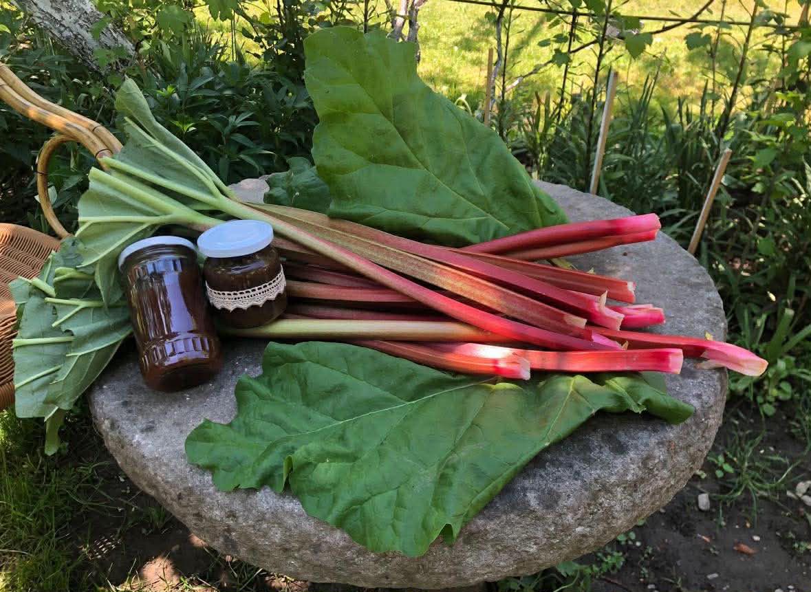 Dulceață de rubarbă 100% de casă