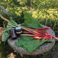 Dulceață de rubarbă artizanală, grădină rustică românească